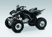 2012 Honda TRX250X photo